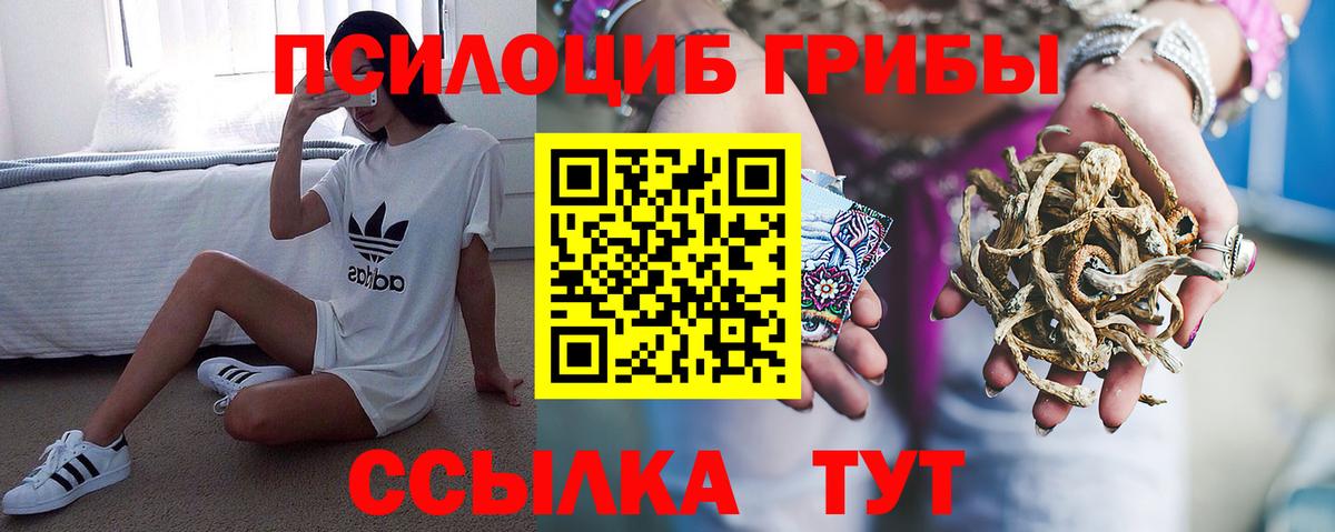 Псилоцибиновые грибы Cubensis  купить  цена  Прокопьевск  Псилоцибиновые грибы Psilocybe  Вход с VPN 