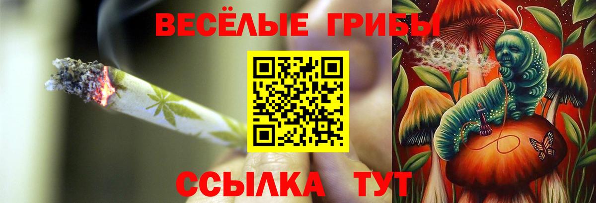 Псилоцибиновые грибы Psilocybine cubensis Прокопьевск